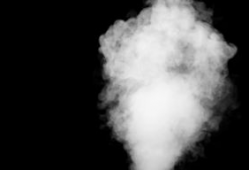 被风吹的短视频,捕捉瞬间风华的短视频魅力