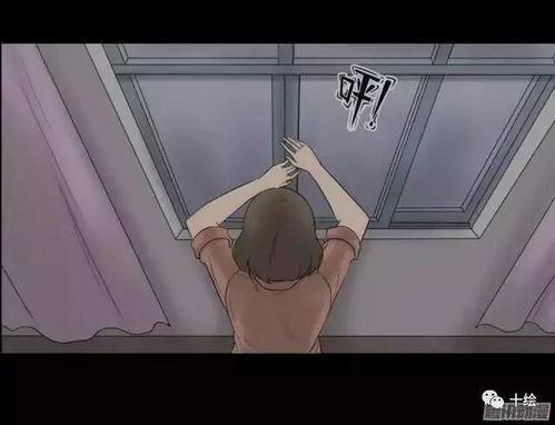 偷窥者韩国漫画,韩国漫画中的偷窥者世界