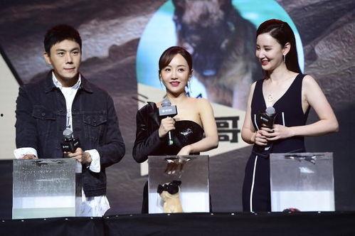 吃瓜娱乐圈内幕爆料东北博主,东北博主带你探秘幕后真相