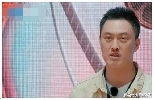 娱乐圈搞笑吃瓜系统