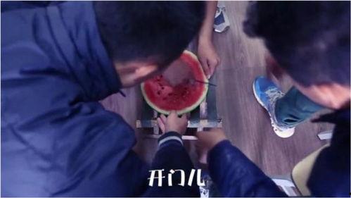 奇葩吃瓜娱乐,揭秘娱乐圈那些奇葩吃瓜娱乐事件