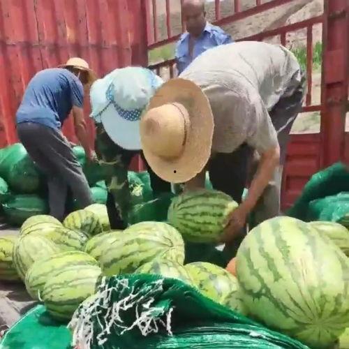 吃瓜网每日大赛聚集地,每日大赛聚集地,精彩赛事一网打尽!